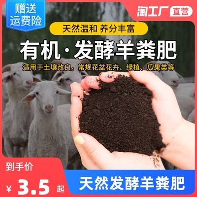 爆火網購的新寵 有機肥料的走紅之路與環保啟示