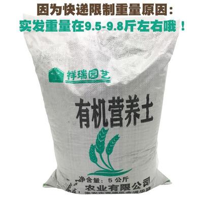 玩具與有機肥料 一場創意與自然的綠色實驗
