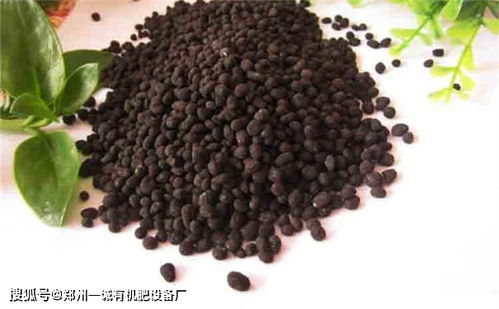 有機(jī)肥料廠選址的核心考量要素