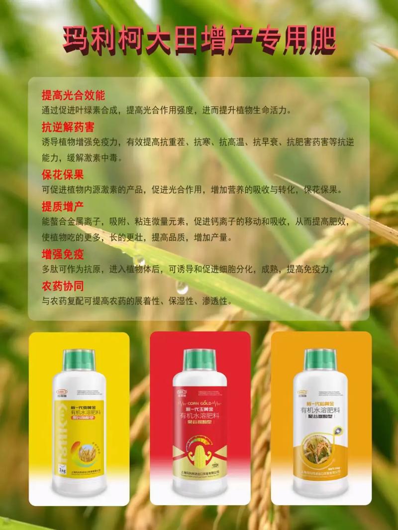 玉黃金有機(jī)水溶肥料 聚谷氨酸型 玉米專用肥#農(nóng)資肥